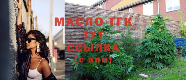 СК Богородск