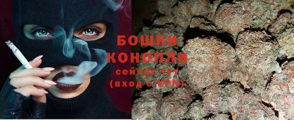 СК Богородск