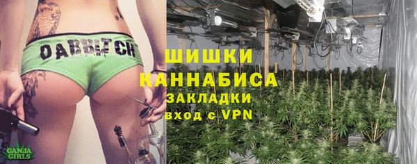СК Богородск