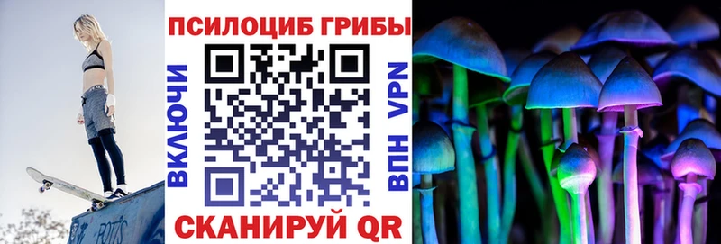 как найти закладки  Козельск  Галлюциногенные грибы MAGIC MUSHROOMS 